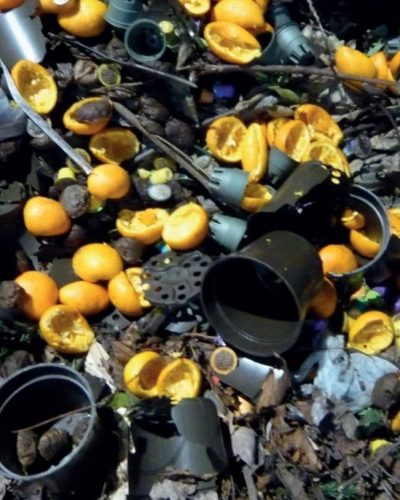 compostable products - composting picture